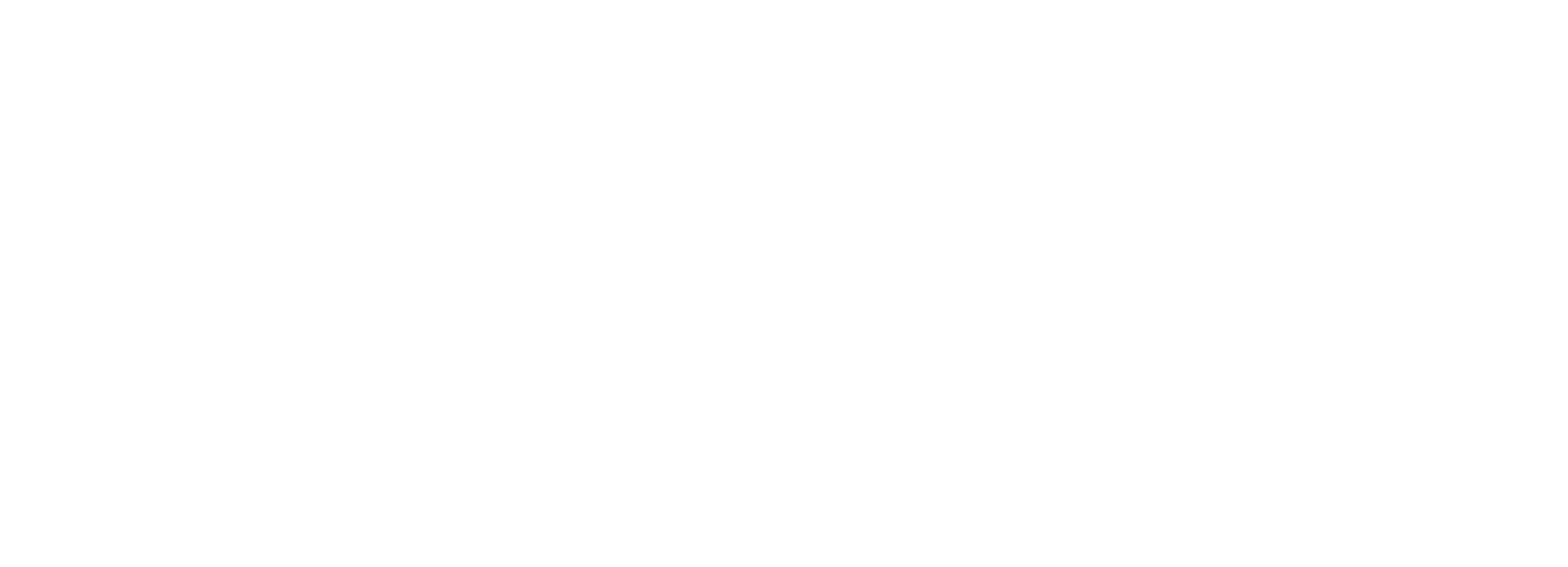 TNT Express logo